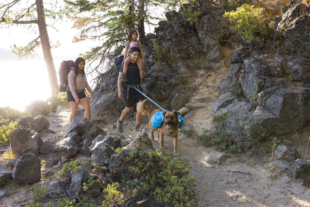 Family hikes with dog at Paulina lake.