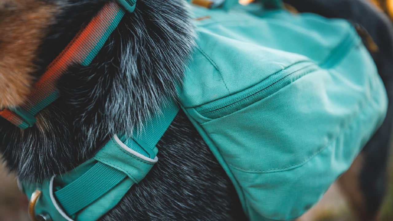 TRANSPORT DE MATÉRIEL STABLE