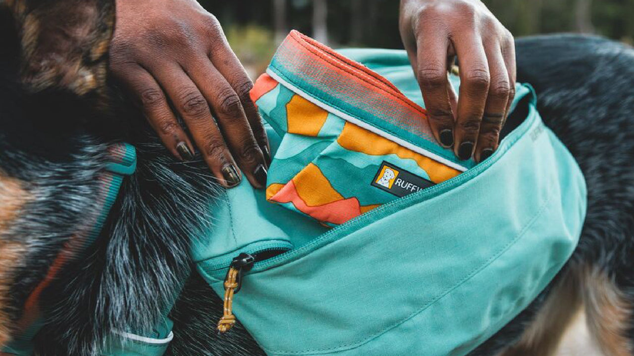 ORGANISATION INTERNE