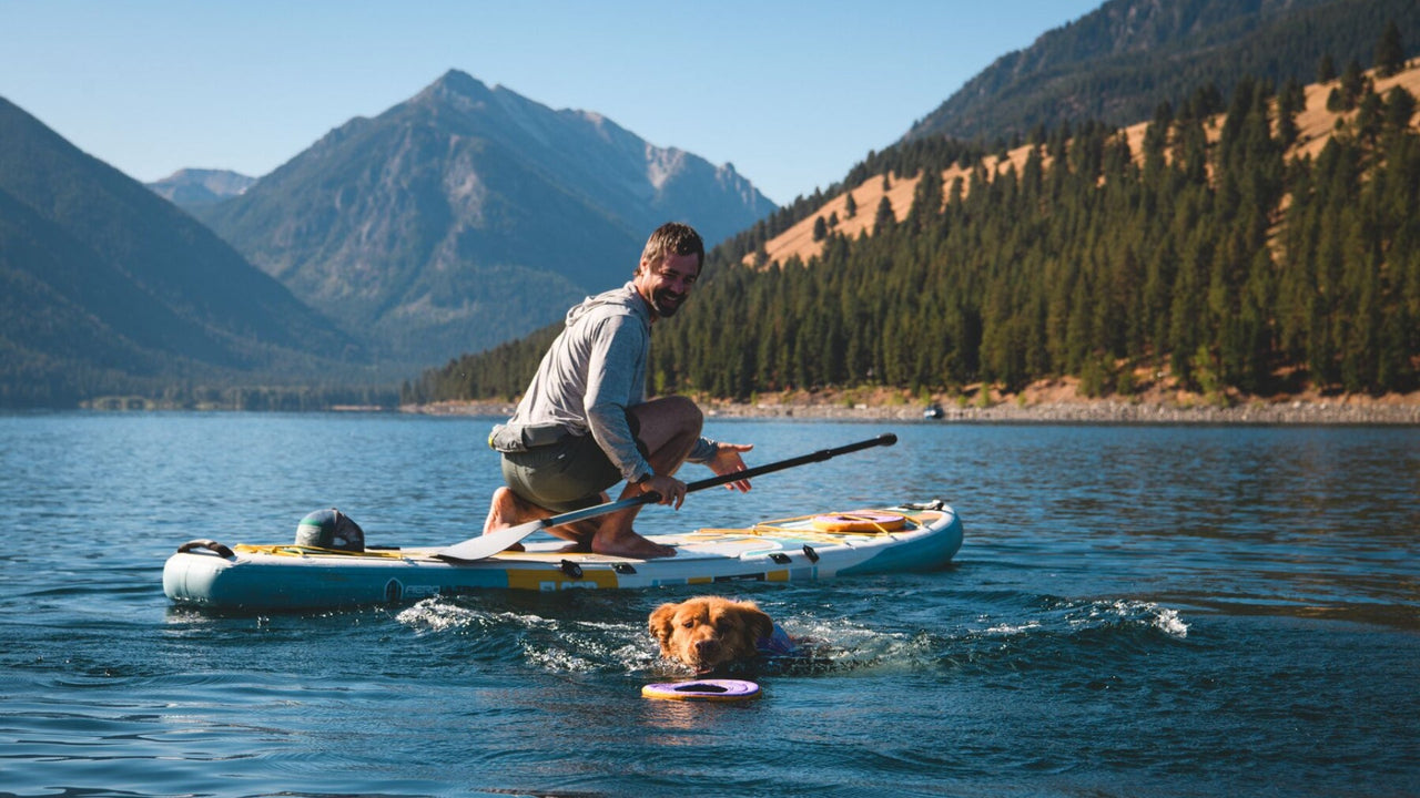 EXCELLENTE FLOTTATION