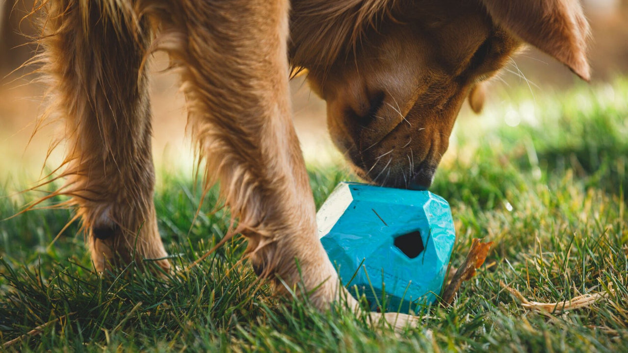 CONTIENT DES FRIANDISES