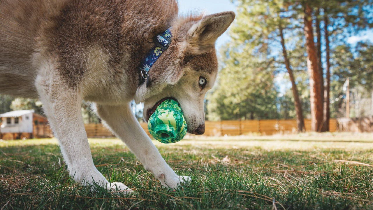 PLATZ FÜR LECKEREIEN