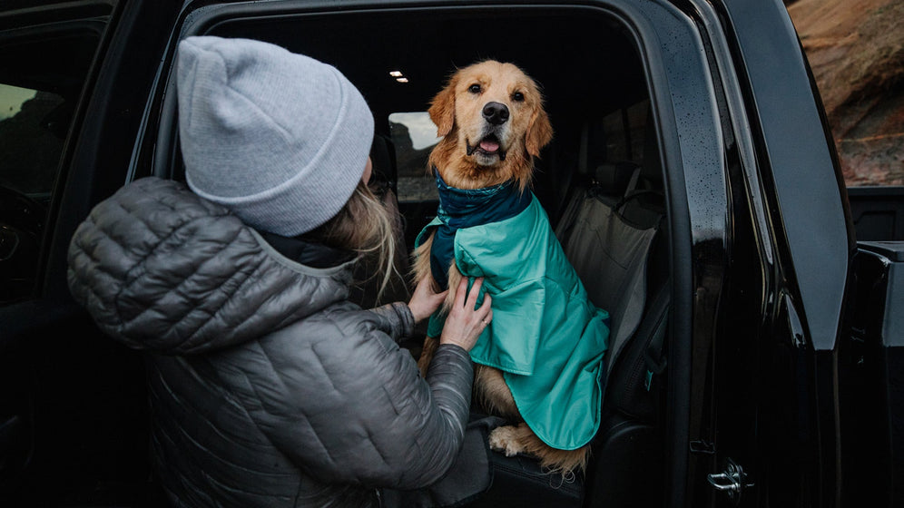 À propos de la serviette pour chien Dirtbag™ Video Thumbnail