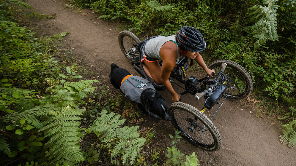 Über das Switchbak™ Hundegeschirr Video Thumbnail