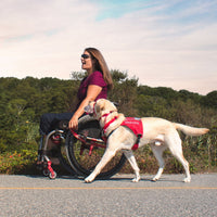 Woman in wheelchair rolls along path with dog in access ID vest at her side.