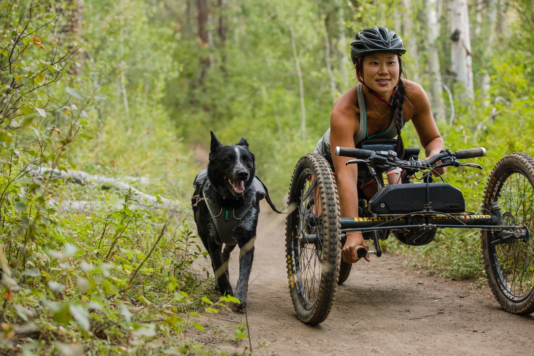 Bikejoring gear outlet