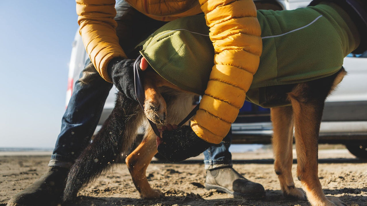 ERWEITERTE ABDECKUNG