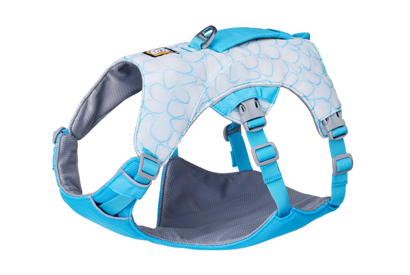 Biolumin Blue