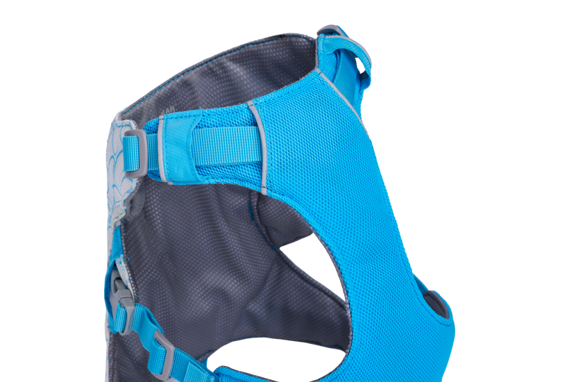 Biolumin Blue