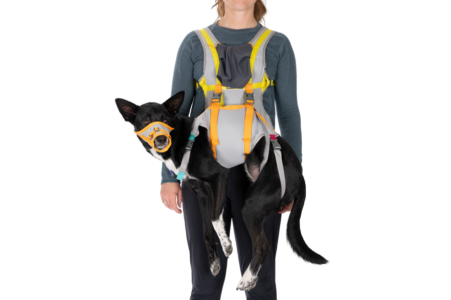 approach-pack-collection | Ruffwear UK