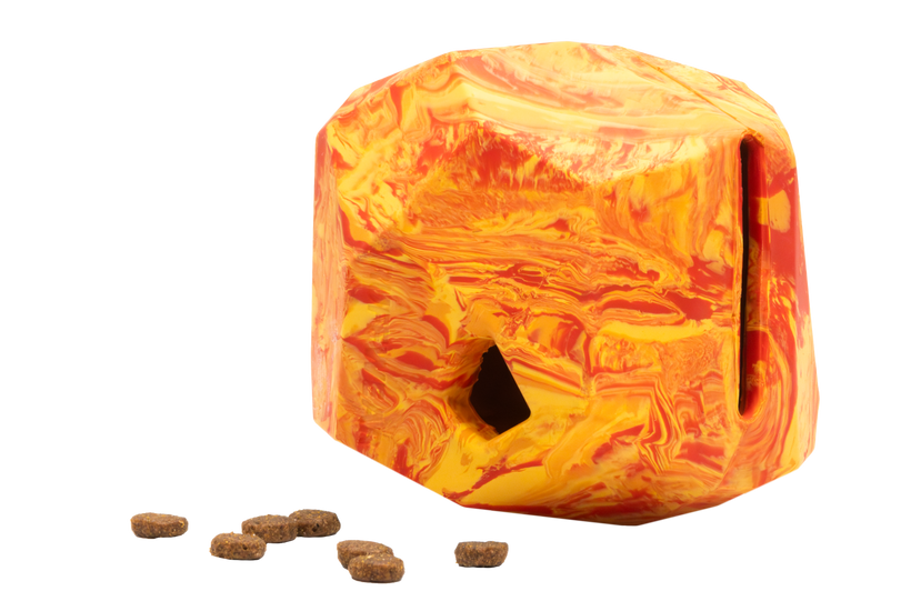 Salamander Orange