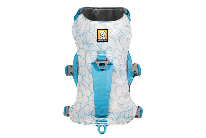 Biolumin Blue
