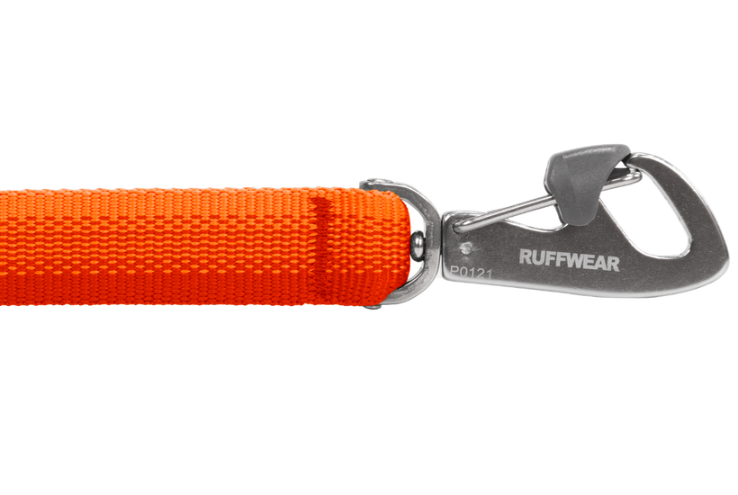 Blaze Orange