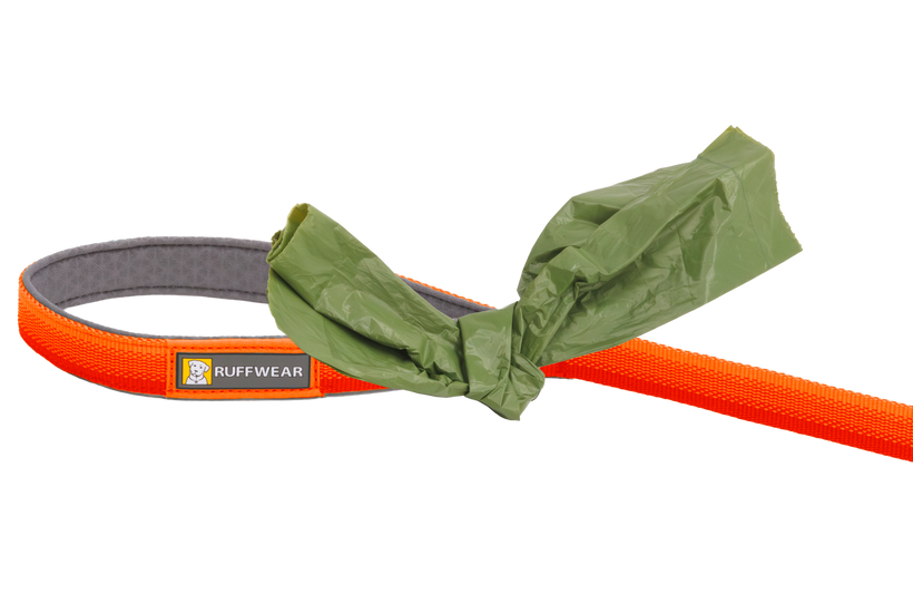 Blaze Orange