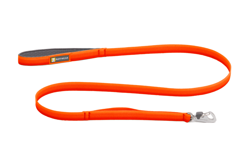 Blaze Orange