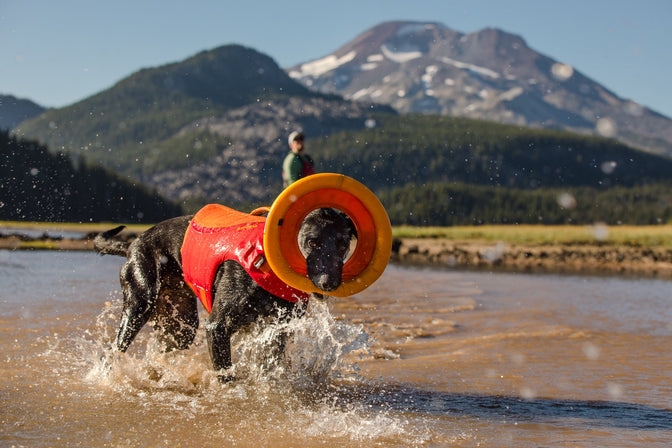 Dog runs through water of Sparks Lake in float coat carrying hydro plane while human stands behind.