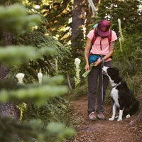 Human stands on hiking trail pulling out pick up bag with dog at her side.