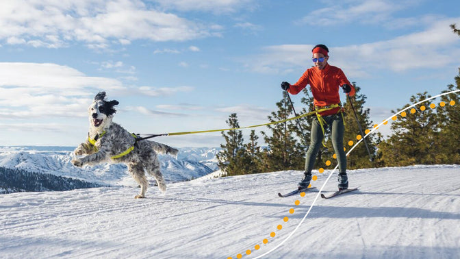 Man skijores with dog.