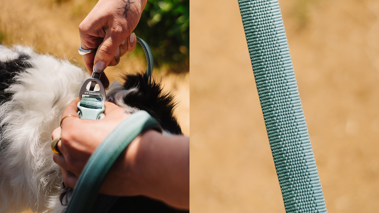 SANGLE DURABLE