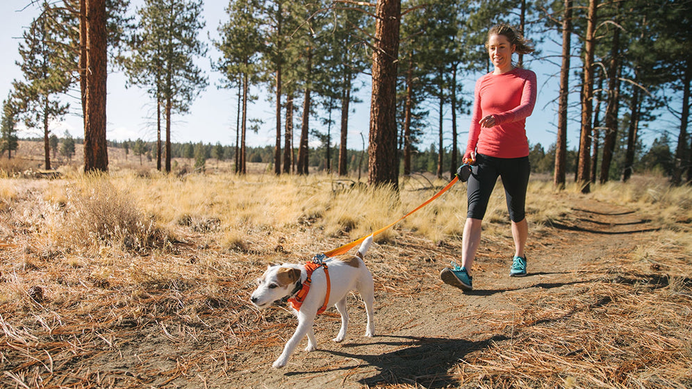 Comment ajuster le harnais Hi & Light™ Video Thumbnail