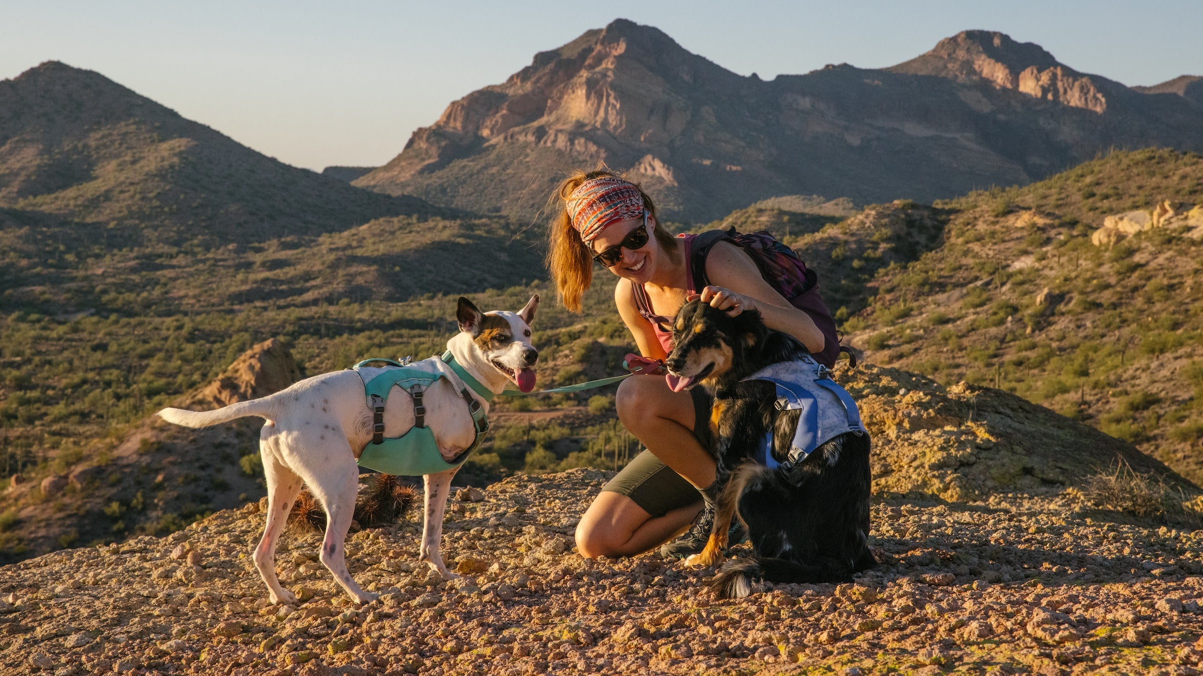 Swamp Cooler Dog Cooling Harness Ruffwear