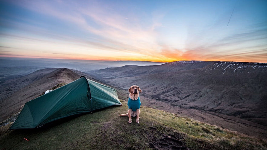 Tom & Ruby | Ruffwear UK