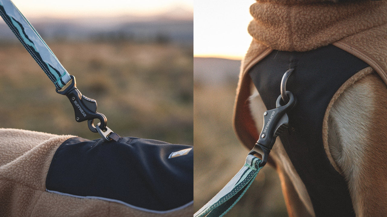 Integriertes Geschirr