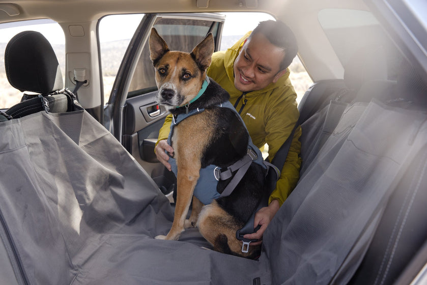 Harnais de sécurité pour chien voiture XL - 85-110cm