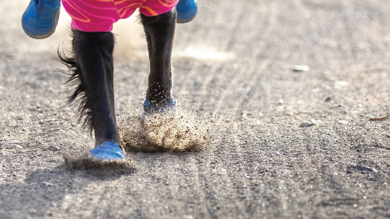 LÉGÈRE ET RESPIRANTE