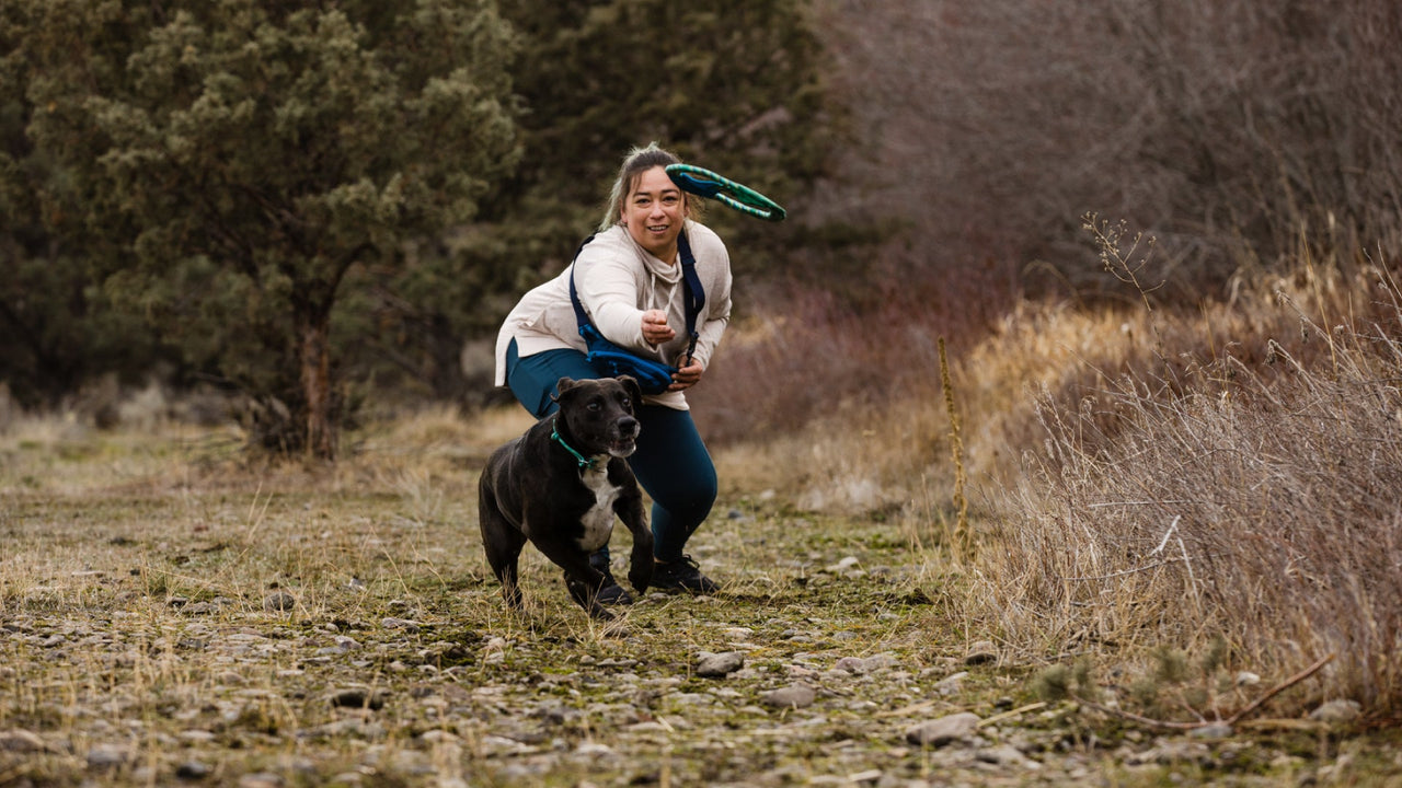 JETER, RAPPORTER, TIRER