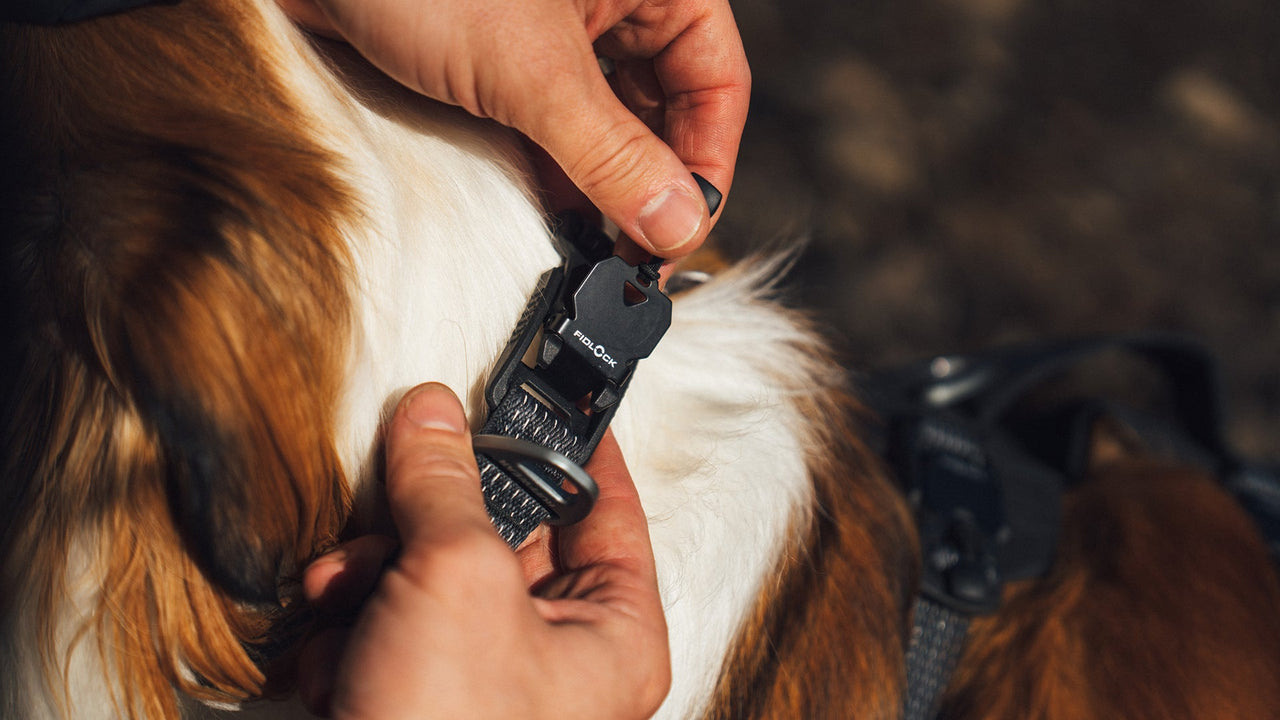 Fidlock® Magnetic Buckles