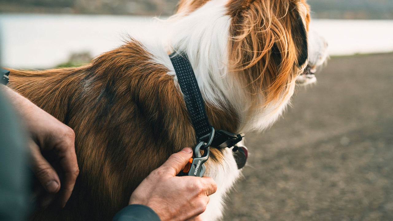 Strong Connection Point