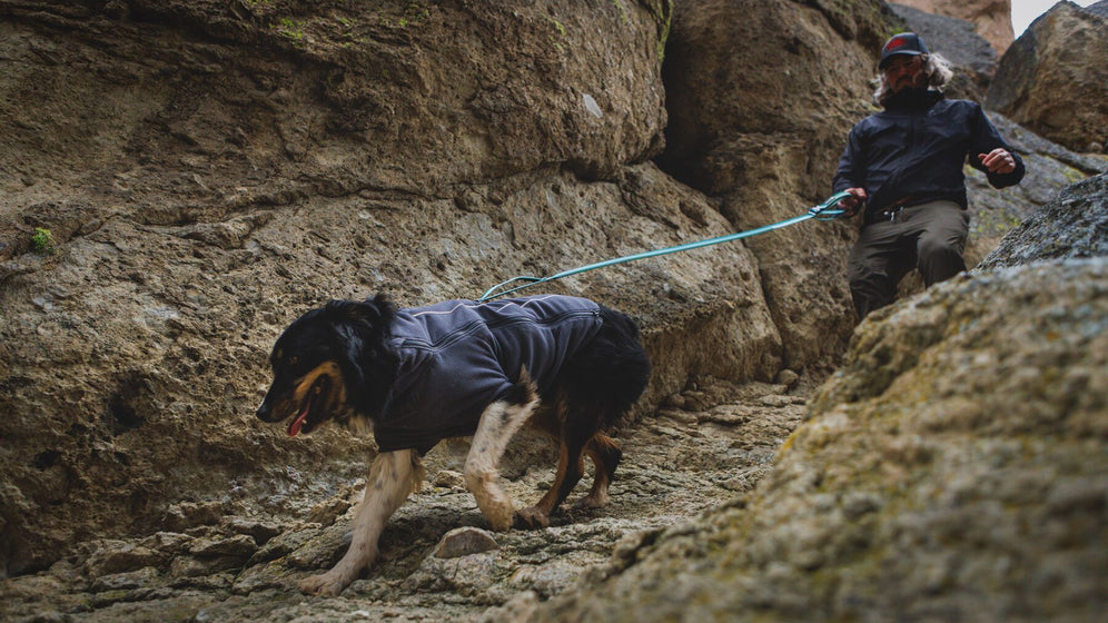 So verwenden Sie den Locking Talon Clip™ Video Thumbnail