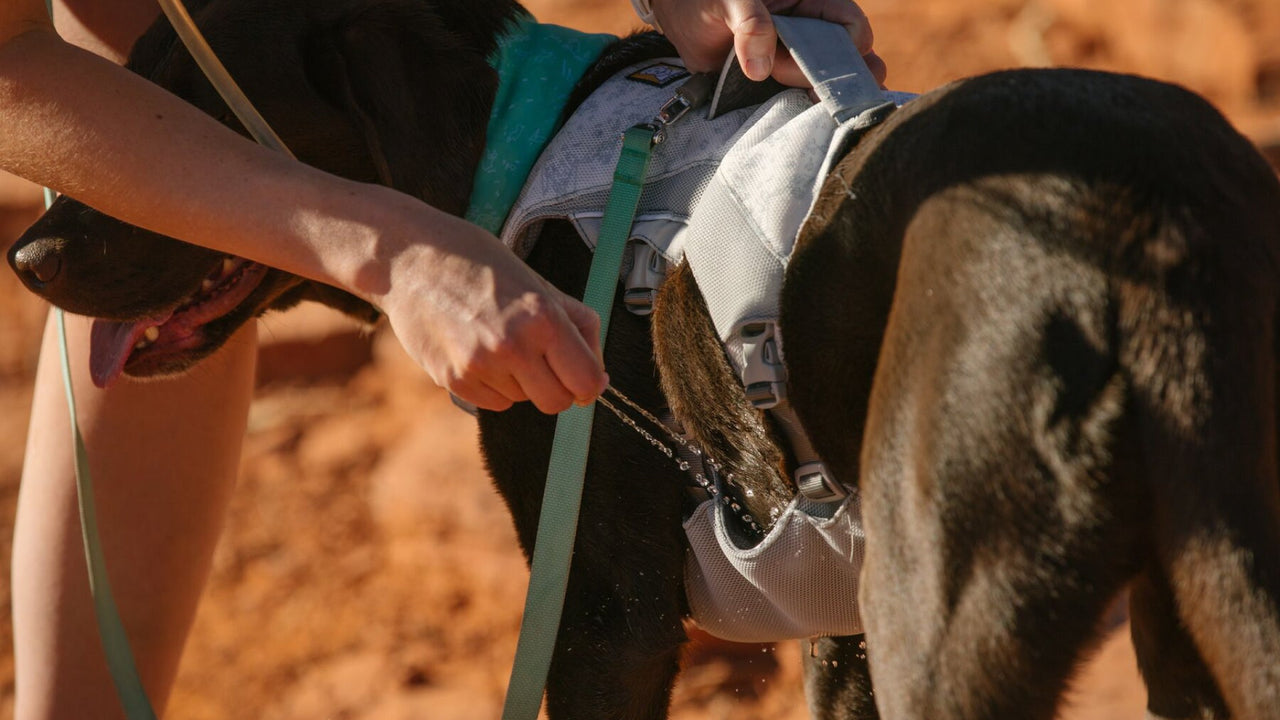 TECHNOLOGIE SWAMP COOLER™