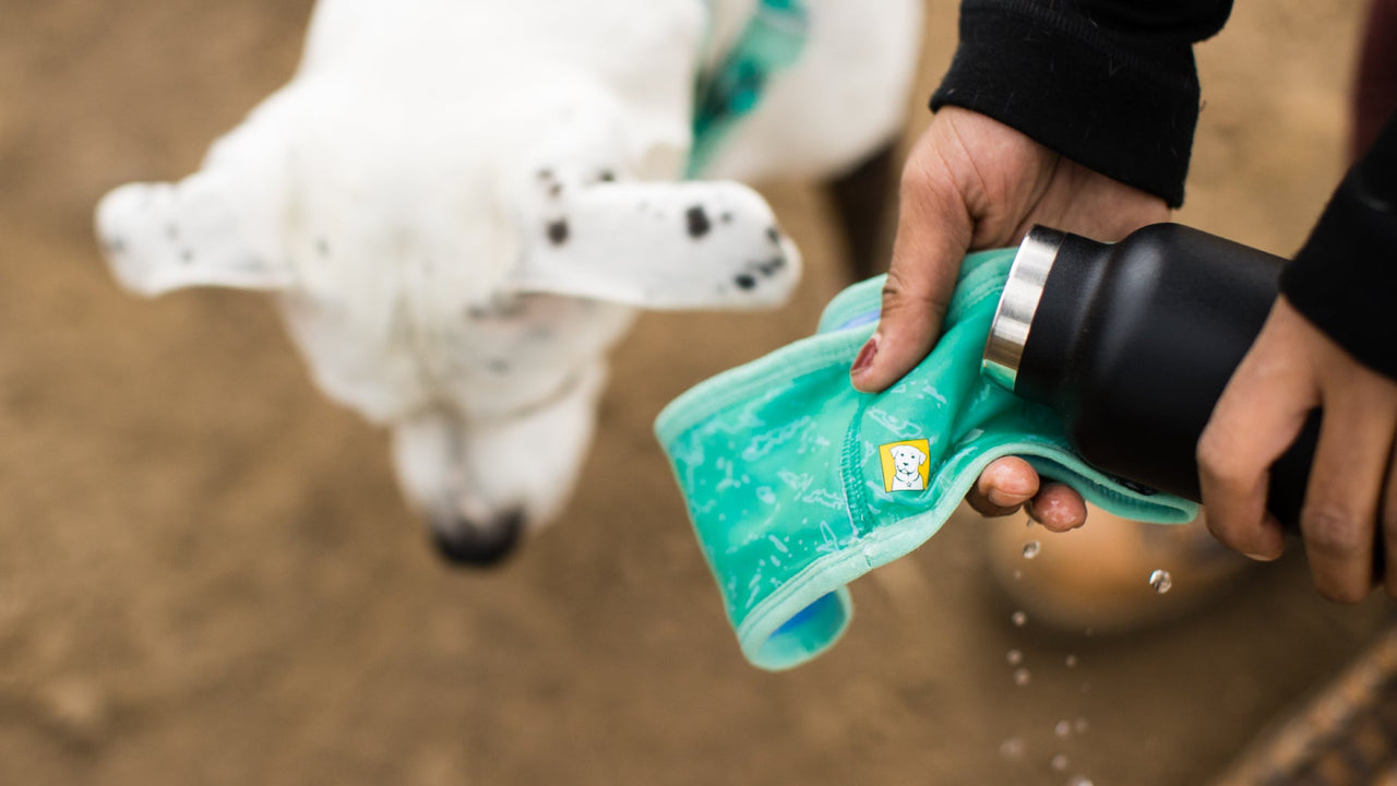 TECHNOLOGIE SWAMP COOLER™