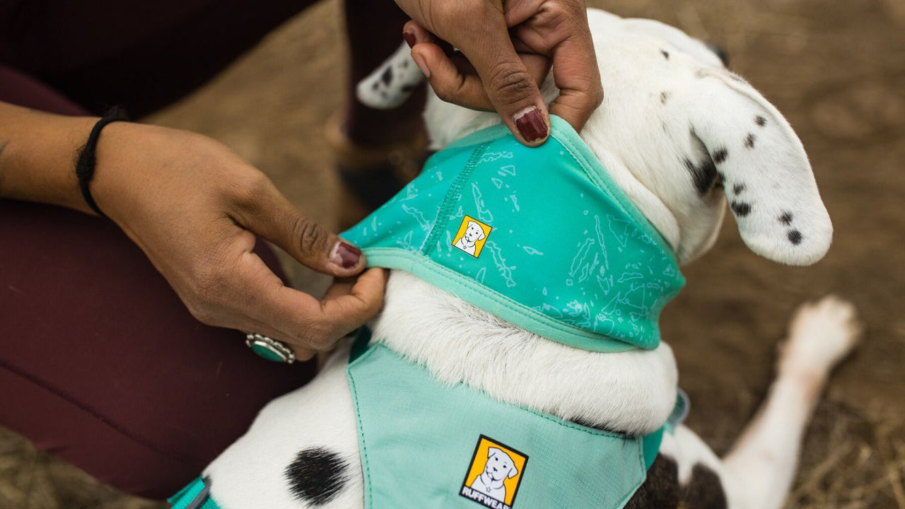 RÉVERSIBLE AVEC COUVERTURE UPF 50+