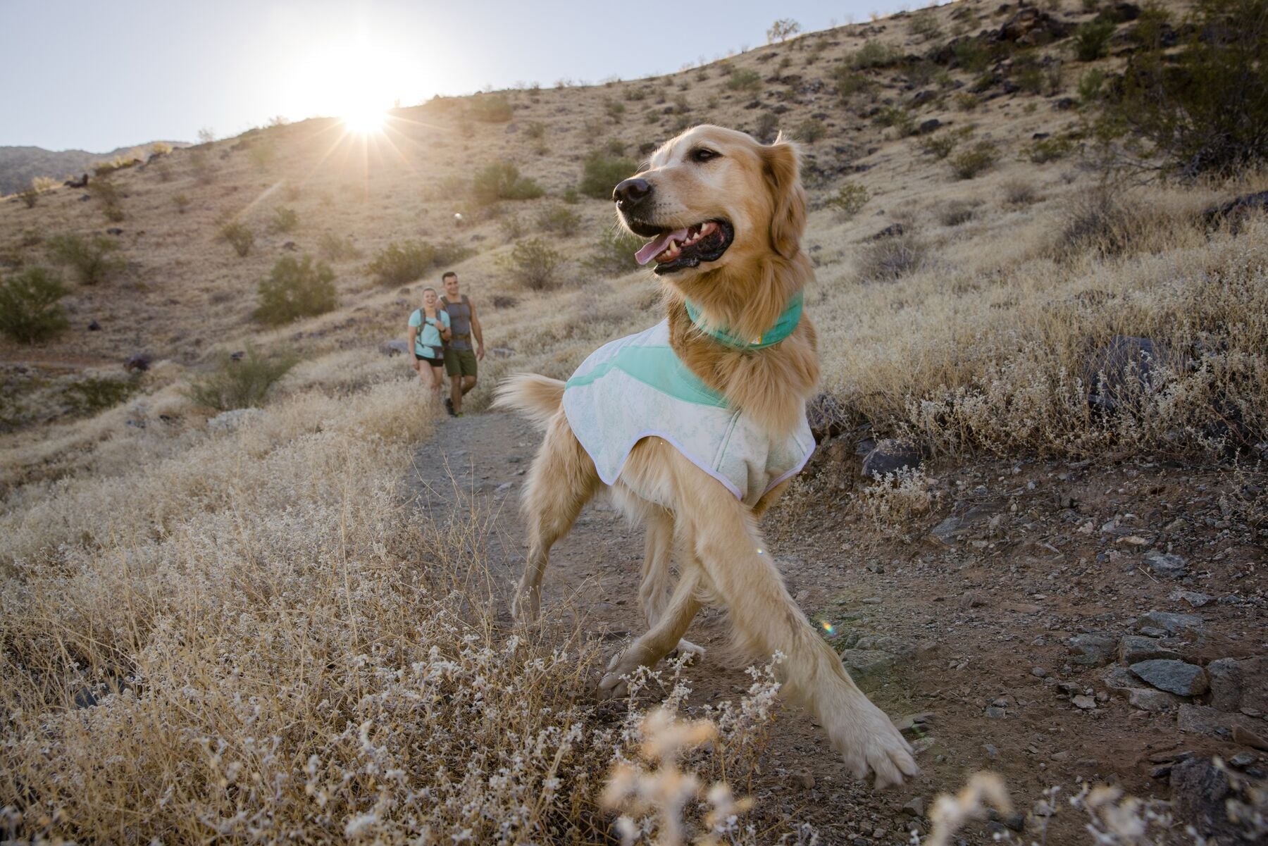 Ruffwear gilet 2024 rafraichissant