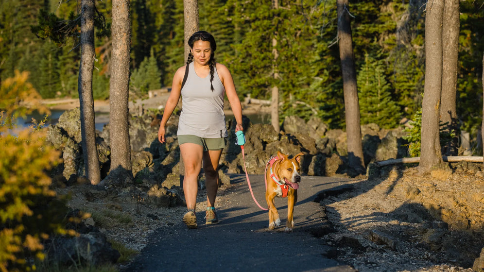 Über die Stash Bag Mini™ Video Thumbnail