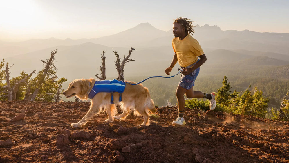 Ceinture Trail Runner™ pour courir avec son chien