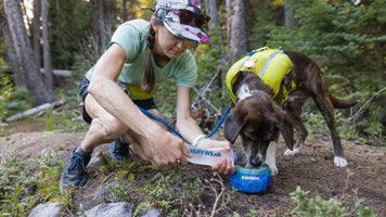 Über den Trail Runner™ Hundenapf: Video Thumbnail