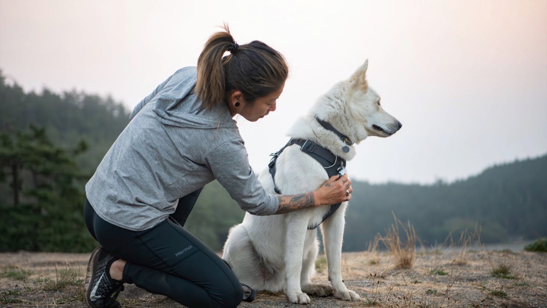 Harnais Front Range Ruffwear