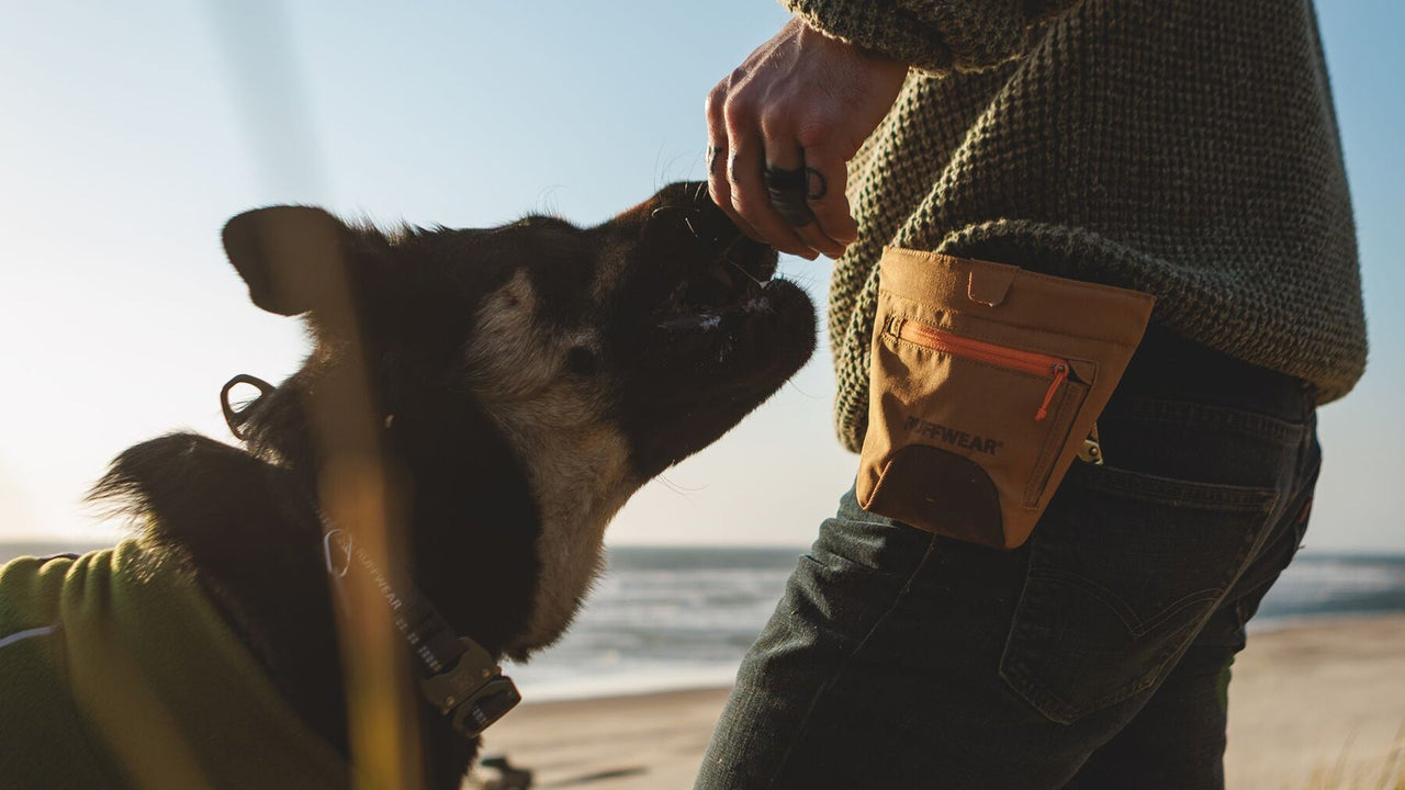 ACCÈS RAPIDE AUX FRIANDISES