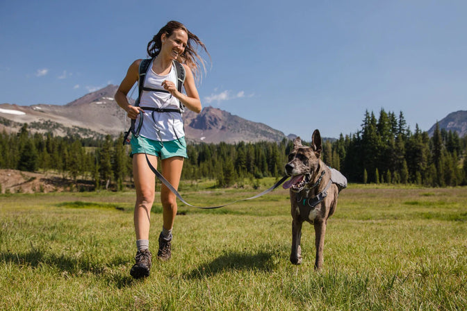 Woman runs with dog in alpine meadow.