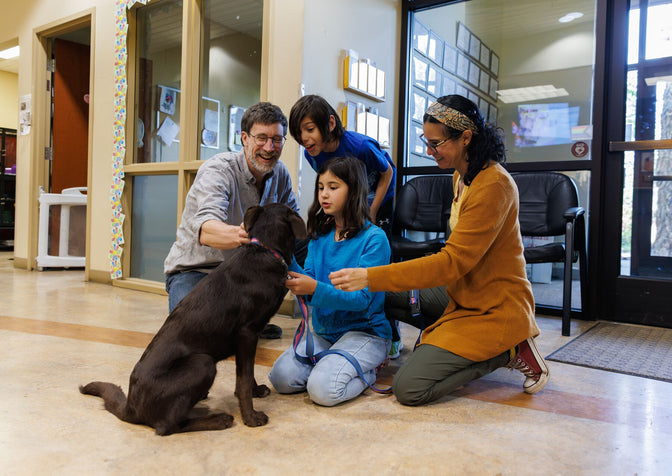 Family adopts dog at shelter.