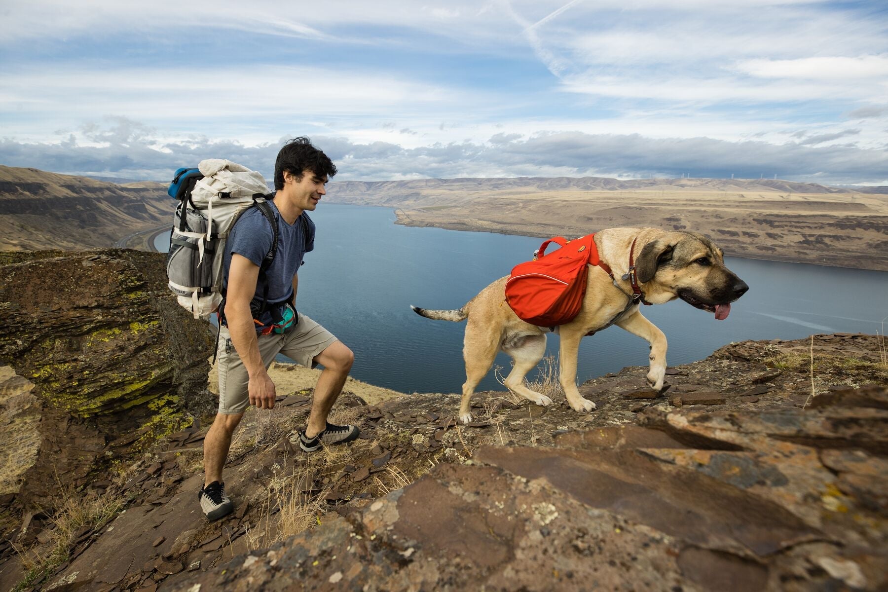 Best dogs best sale to hike with