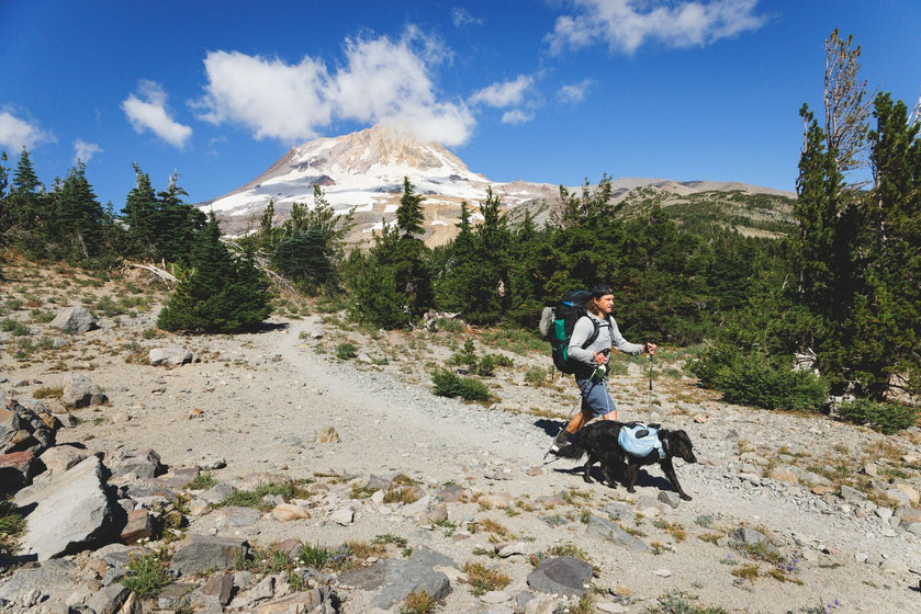 About the Palisades™ Pack Video Thumbnail