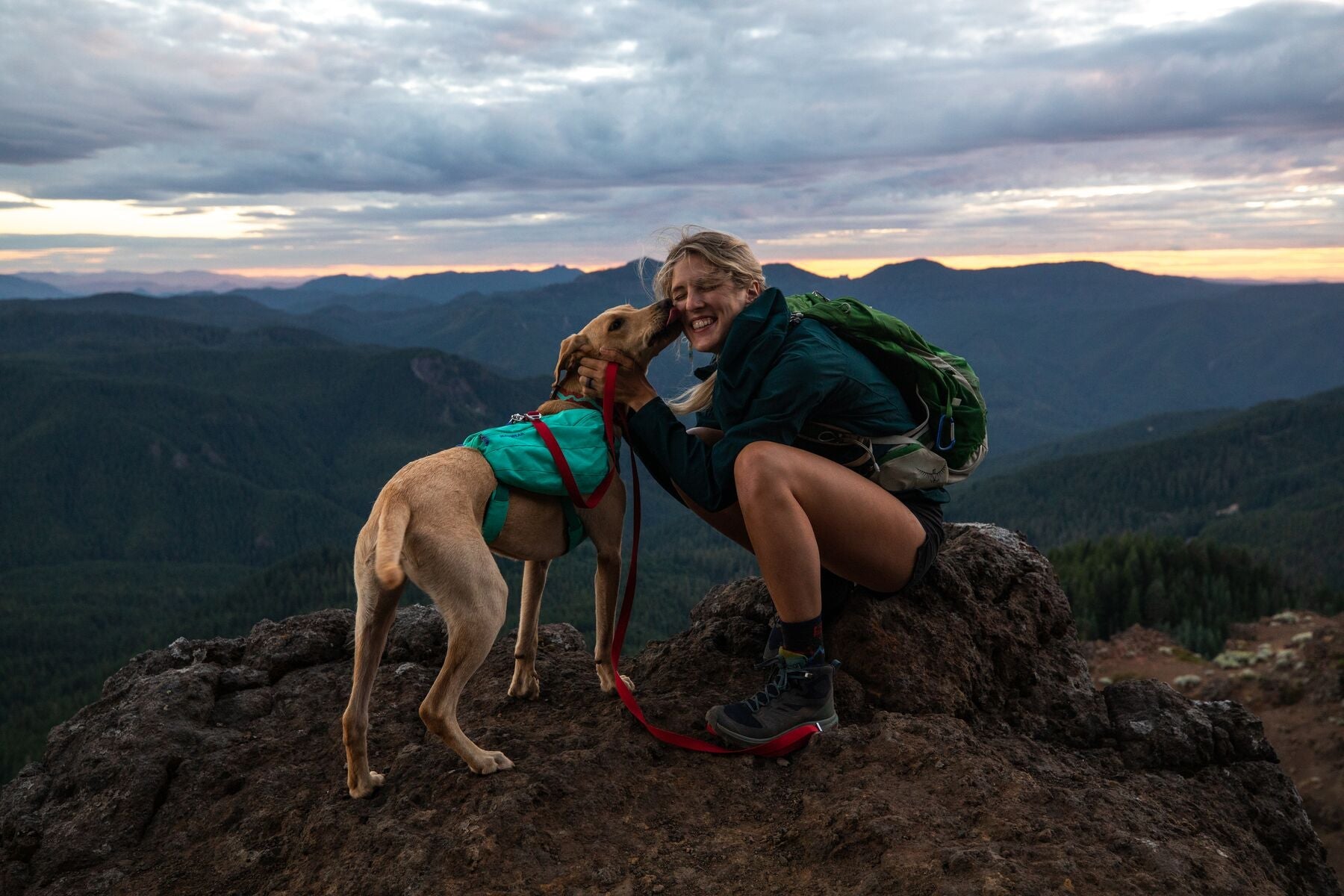 Dog Packs Backpacks Saddlebags Ruffwear