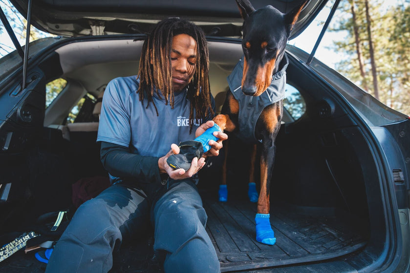 Über die Bark'n Boot™ Socken Video Thumbnail