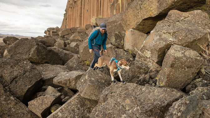 Climber and his dog scramble over large boulders, dog in grip trex.