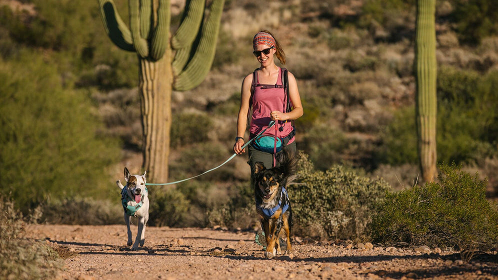 À propos de la laisse Hi & Light™ Video Thumbnail